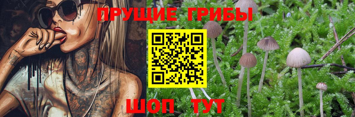Псилоцибиновые грибы мухоморы Кунгур