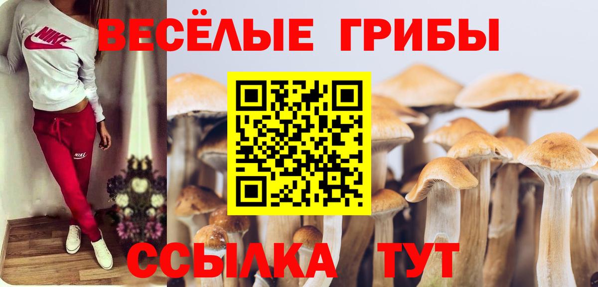 Кунгур  цены наркотик  Вход с VPN  Псилоцибиновые грибы мухоморы  Псилоцибиновые грибы GOLDEN TEACHER 